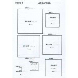Fichier 4 "Réglettes, carrés et cubes au CM"