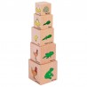 Blocs du Cycle de Vie