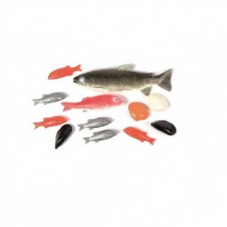 Lot de 12 poissons