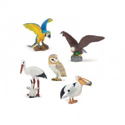 Les oiseaux du monde